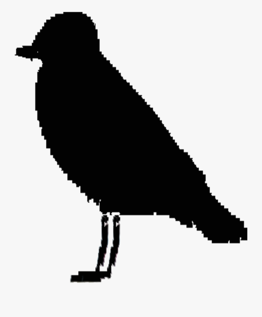 Ireland Bird Silhouette Clip Arts - Vector Graphics, Transparent Clipart