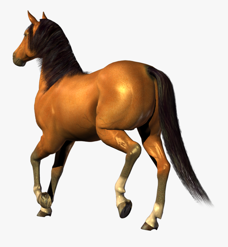 11 Horse No Background Png - Movie Sarlen14