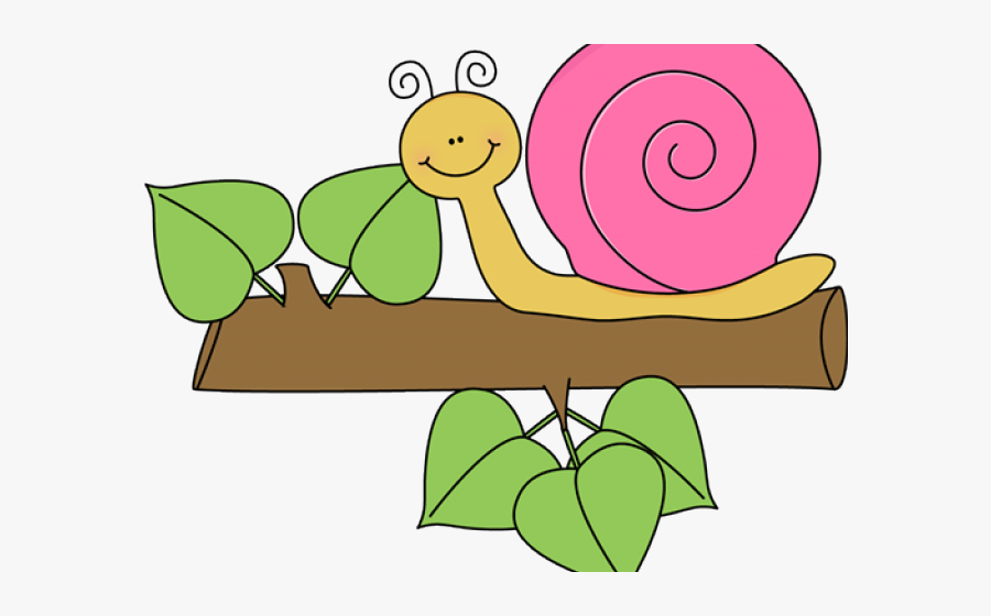 Snail Cliparts - Snail On Tree Clip Art, Transparent Clipart