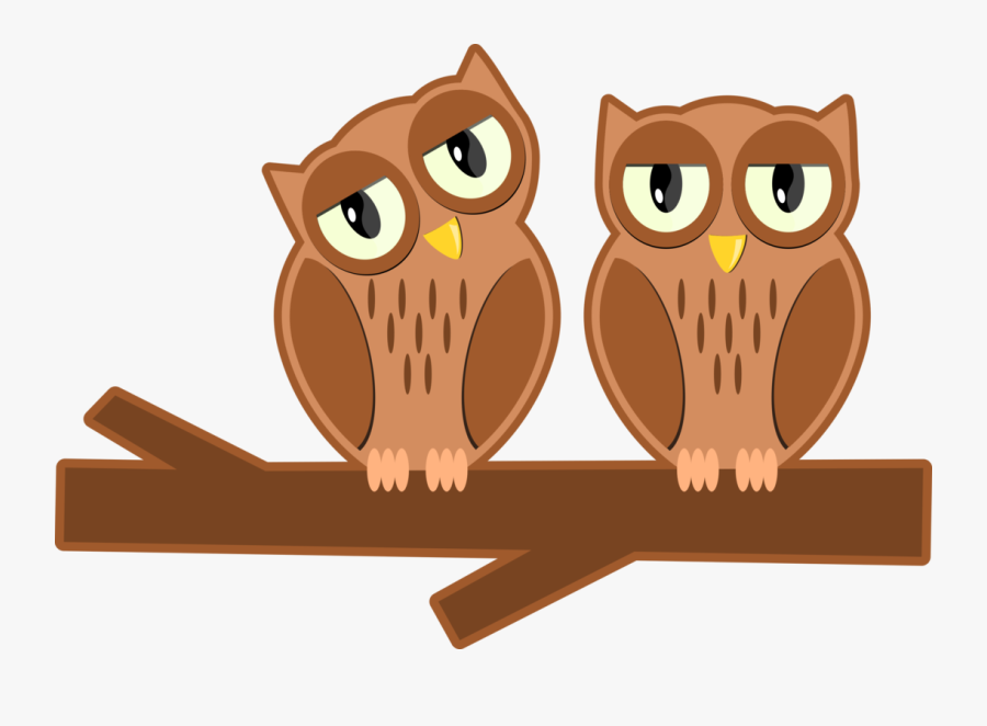 Owl,vertebrate,bird - Owl, Transparent Clipart