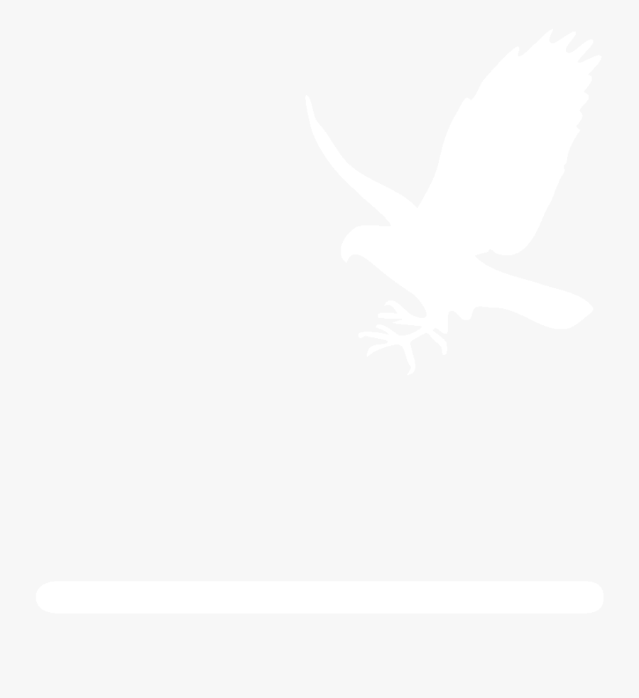 Flying Falcon Outline Png, Transparent Clipart