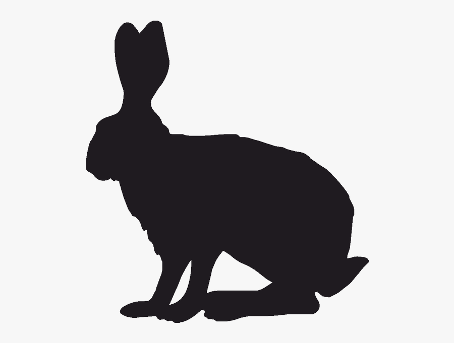 Domestic Rabbit Indian Hare Silhouette Clip Art - Alice In Wonderland White Rabbit Silhouette, Transparent Clipart