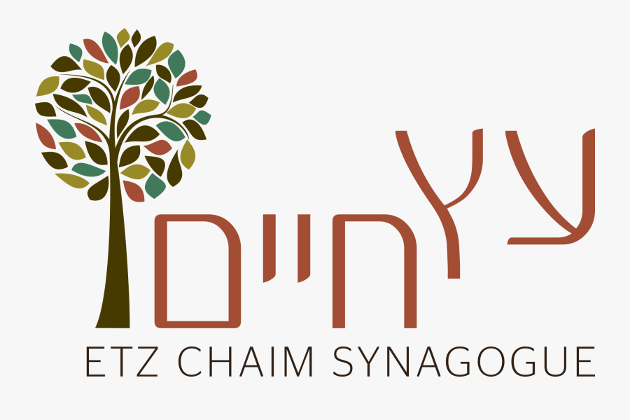 Synagogue Clipart Shul - Etz Chaim Jacksonville Fl, Transparent Clipart