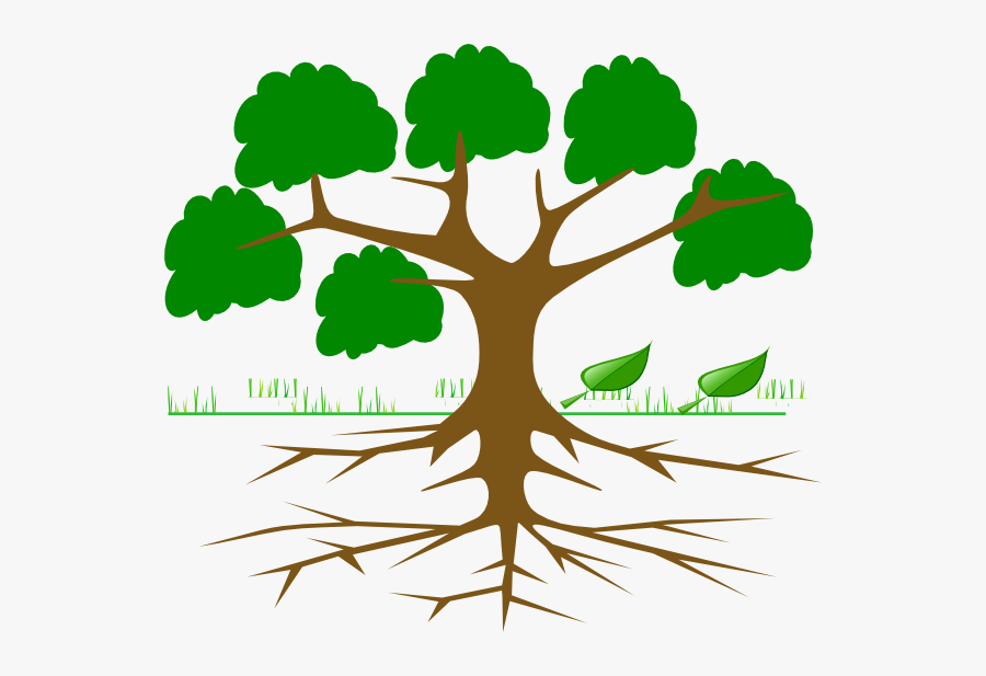 Root Cause Tree Analysis, Transparent Clipart