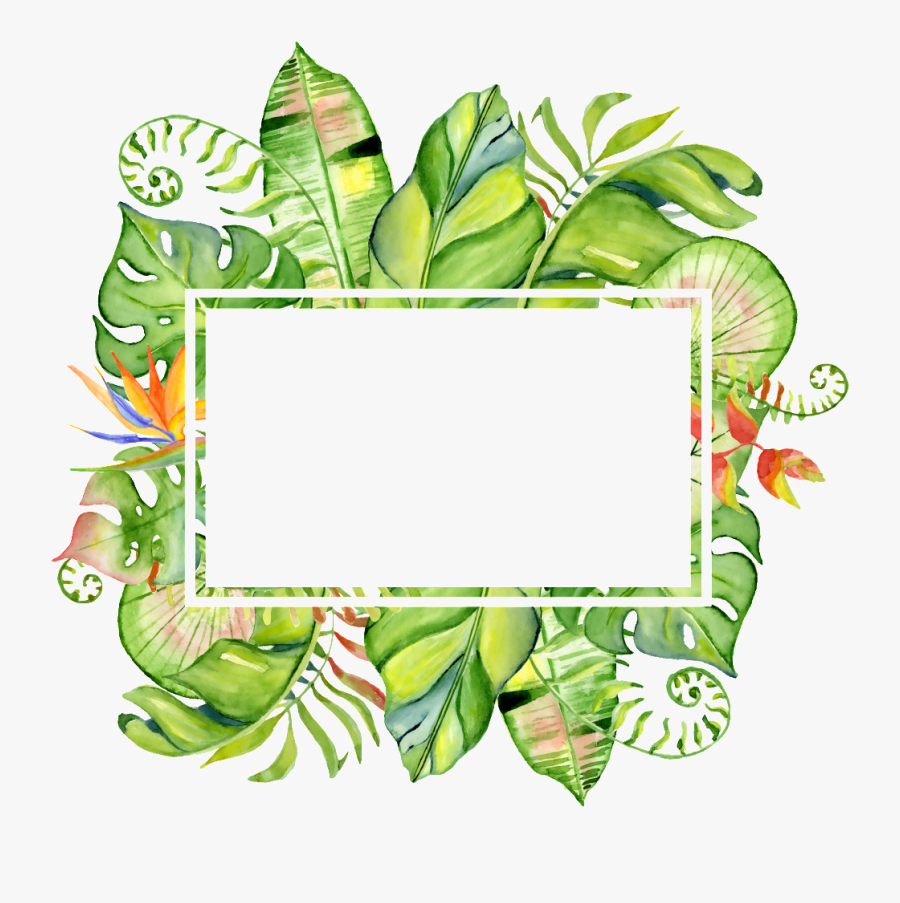 Treasure Color Column Png Transparent Surrounded By - Tropical Leaves ...