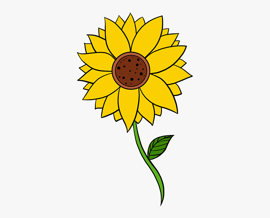 How To Draw Sunflower - Step By Step Sunflower Drawings Easy, Transparent Clipart