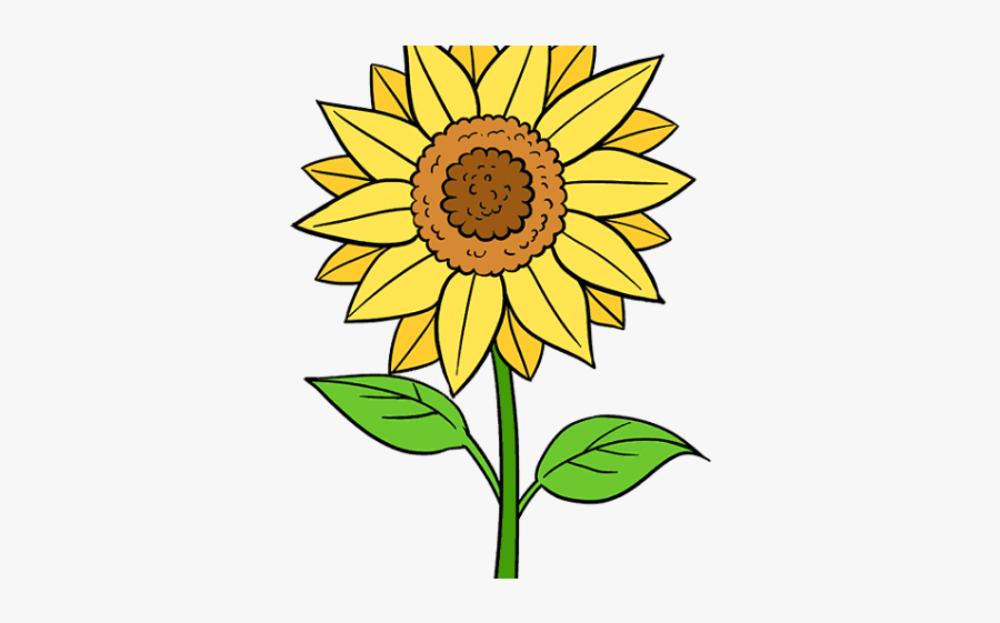 Free Free 190 Clipart Sunflower Simple SVG PNG EPS DXF File