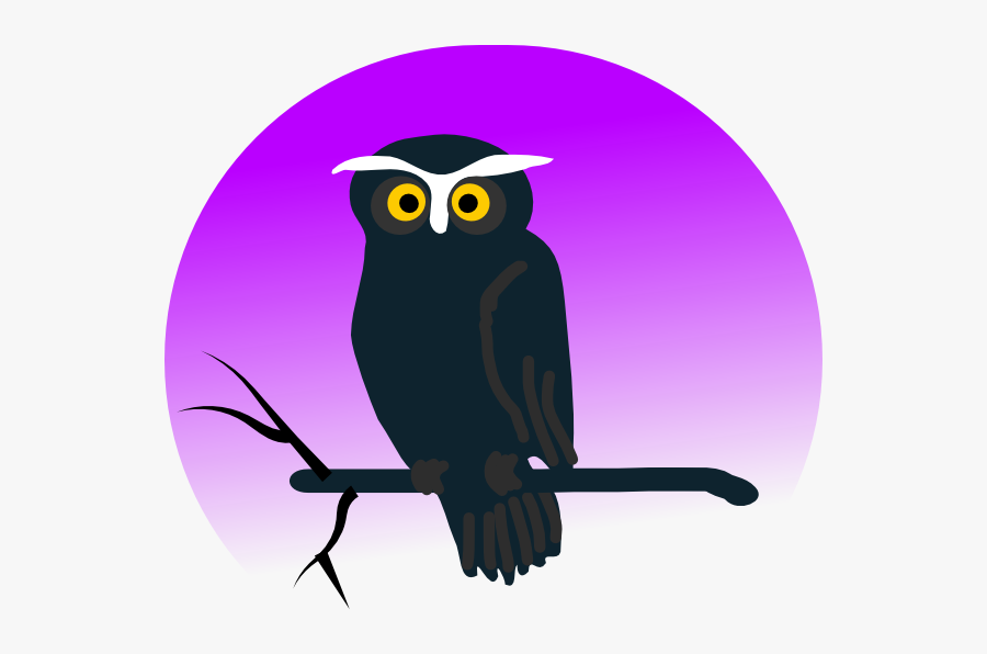 Cute - Halloween - Owl - Clip - Art - Owl Bird Animation, Transparent Clipart