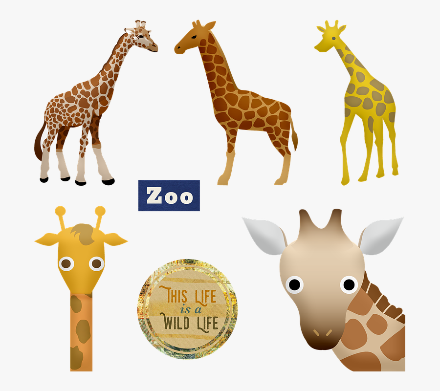 Giraffe, Zoo, Animals, Head, Cute, Funny, Mammal - キリン イラスト, Transparent Clipart