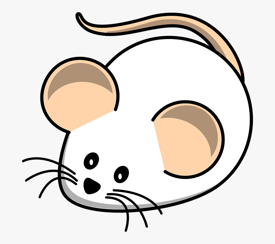 Mouse, White Mouse, Field, Animal, Rat, Mammal - White Mice Clipart, Transparent Clipart