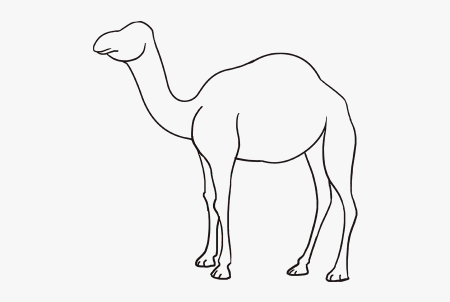 How To Draw Camel - Draw Camel For Kids, Transparent Clipart