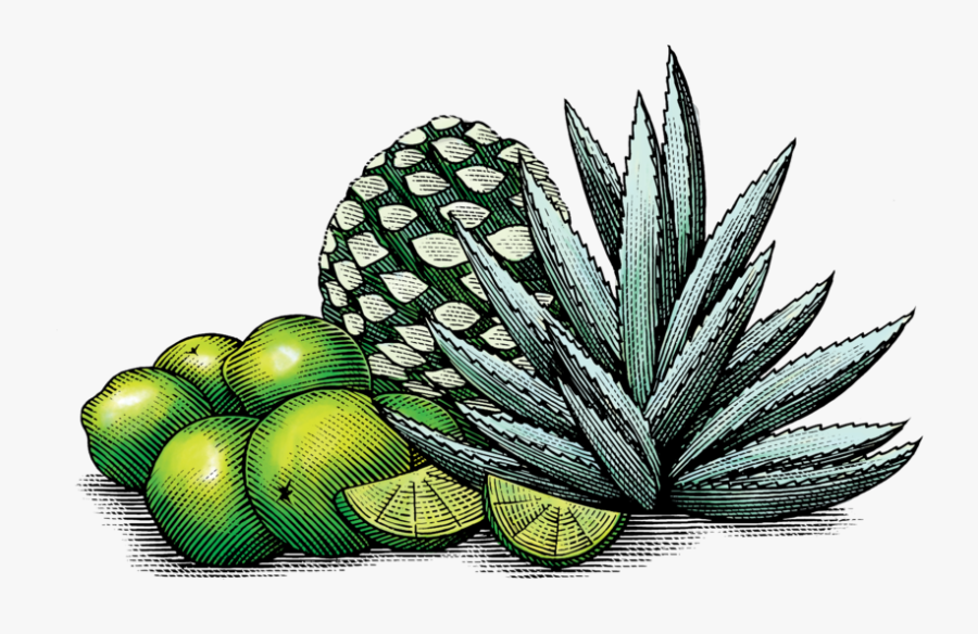 Mexican Lime & Agave - Superfood, Transparent Clipart