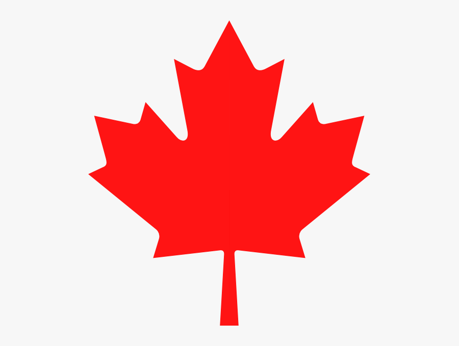 553px-lib Maple Leaf - Escudo De La Bandera De Canada, Transparent Clipart