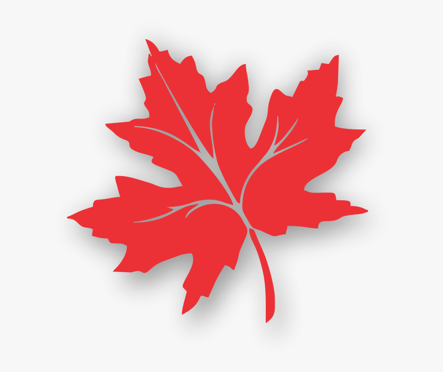 Transparent Maple Leaves Clipart - Chinar Leaf Kashmir Logo, Transparent Clipart