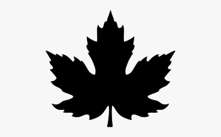 Red Maple Leaf Drawing, Transparent Clipart