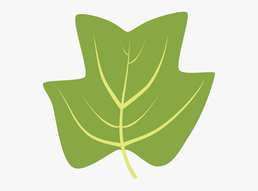 Tulip Tree Leaf Clipart, Transparent Clipart