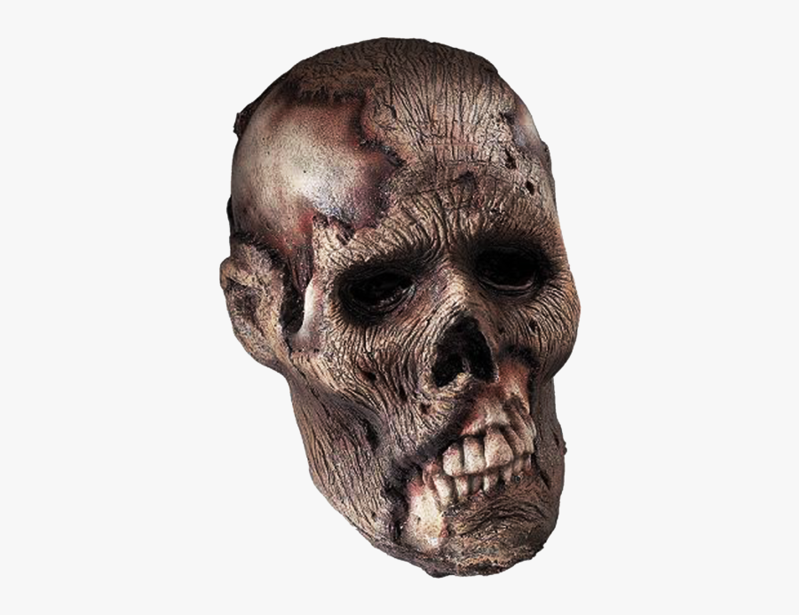 Skeleton Head Png Clipart - Head Png, Transparent Clipart