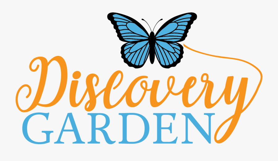 Discovery Garden Grand Opening And Ribbon Cutting - Polyommatus, Transparent Clipart