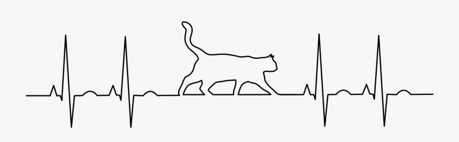 Pulse Line Transparent Png Cat, Transparent Clipart