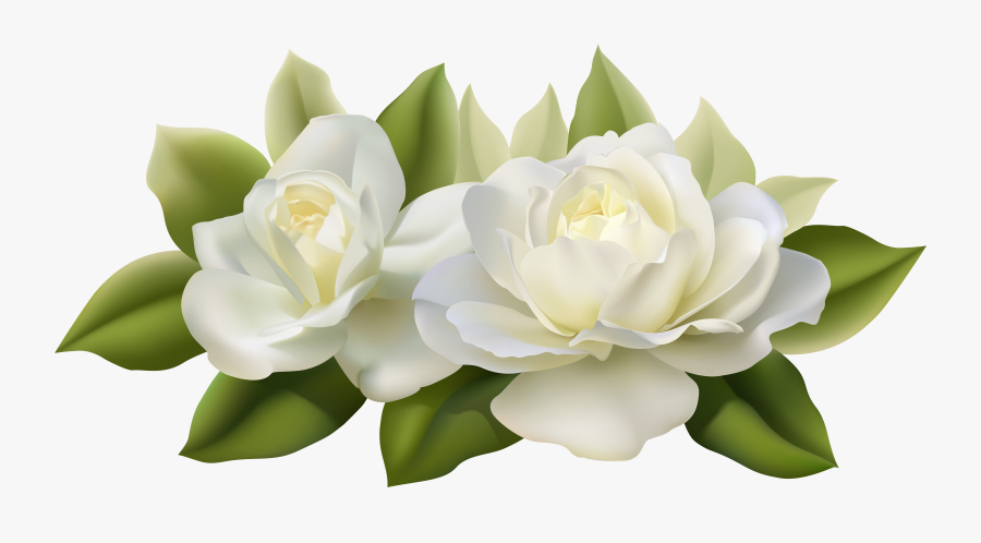 Flower Rose White Clip Art - White Rose Flower Png, Transparent Clipart