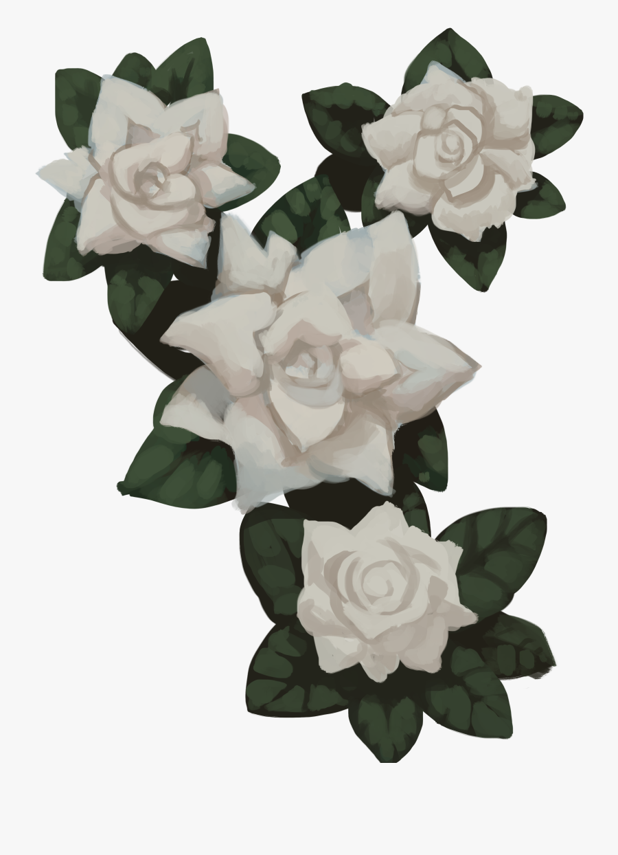 Transparent Flowers Gardenia - Gardenia Transparent, Transparent Clipart