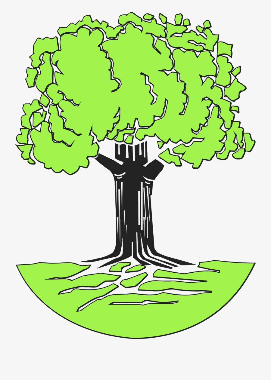 Johann Pachelbel Family Tree, Transparent Clipart