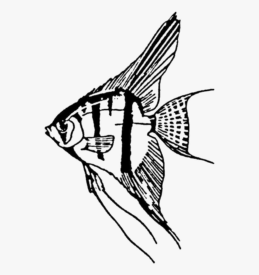 Angel Fish Rubber Stamp Craft And Card Making Stamps - Gold Fish Rubber Stamp, Transparent Clipart