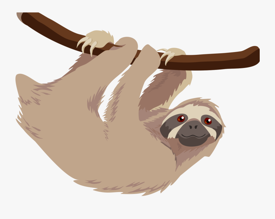 Hoffmann"s Two Toed Sloth T Shirt Baby Sloths Three - Keep Calm And Be A Sloth, Transparent Clipart