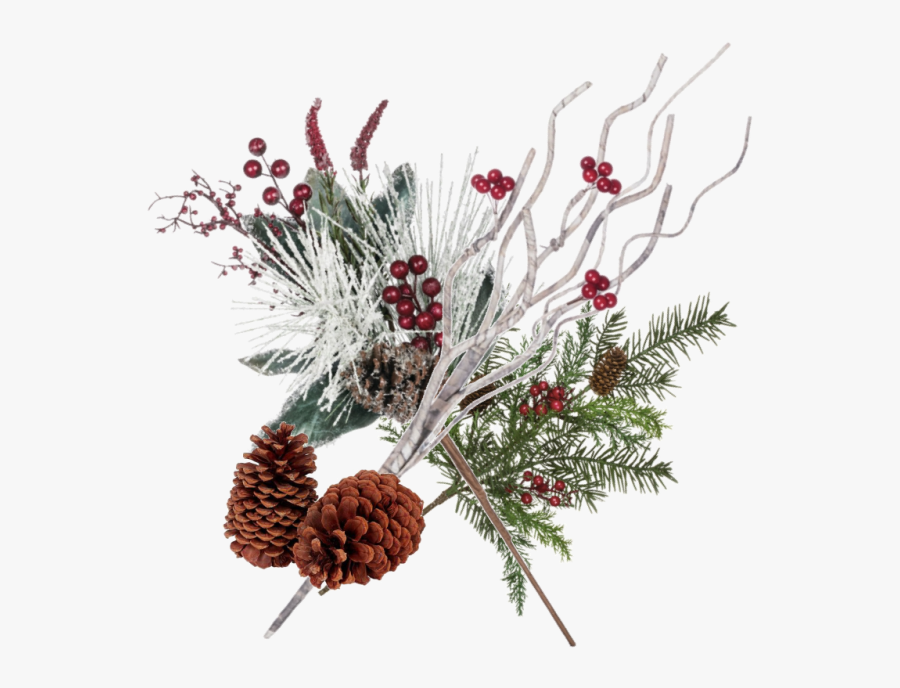 Transparent Pine Cones Png - Snow Covered Pine Cones Transparent, Transparent Clipart