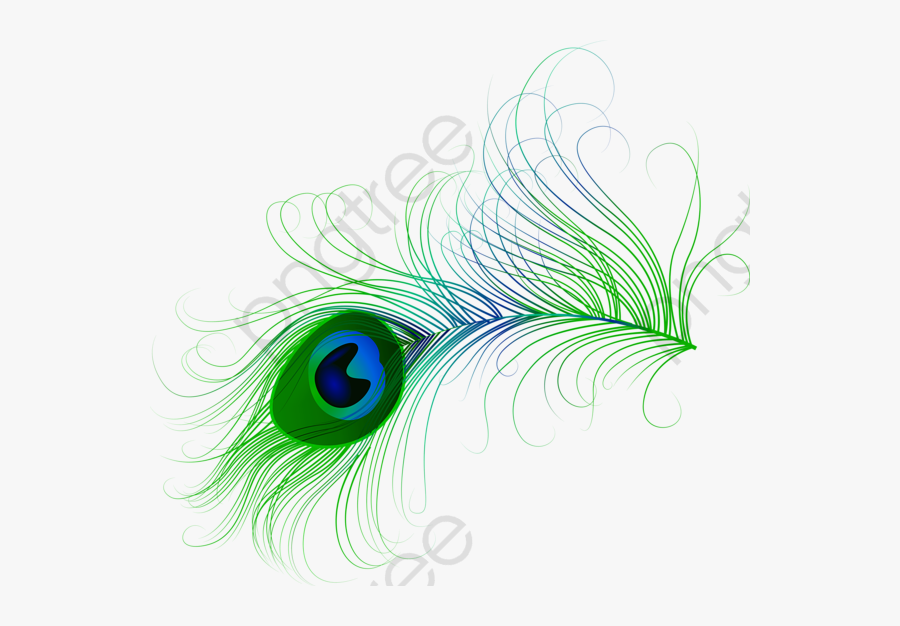 Feather Clipart Design - Transparent Peacock Feather Png, Transparent Clipart