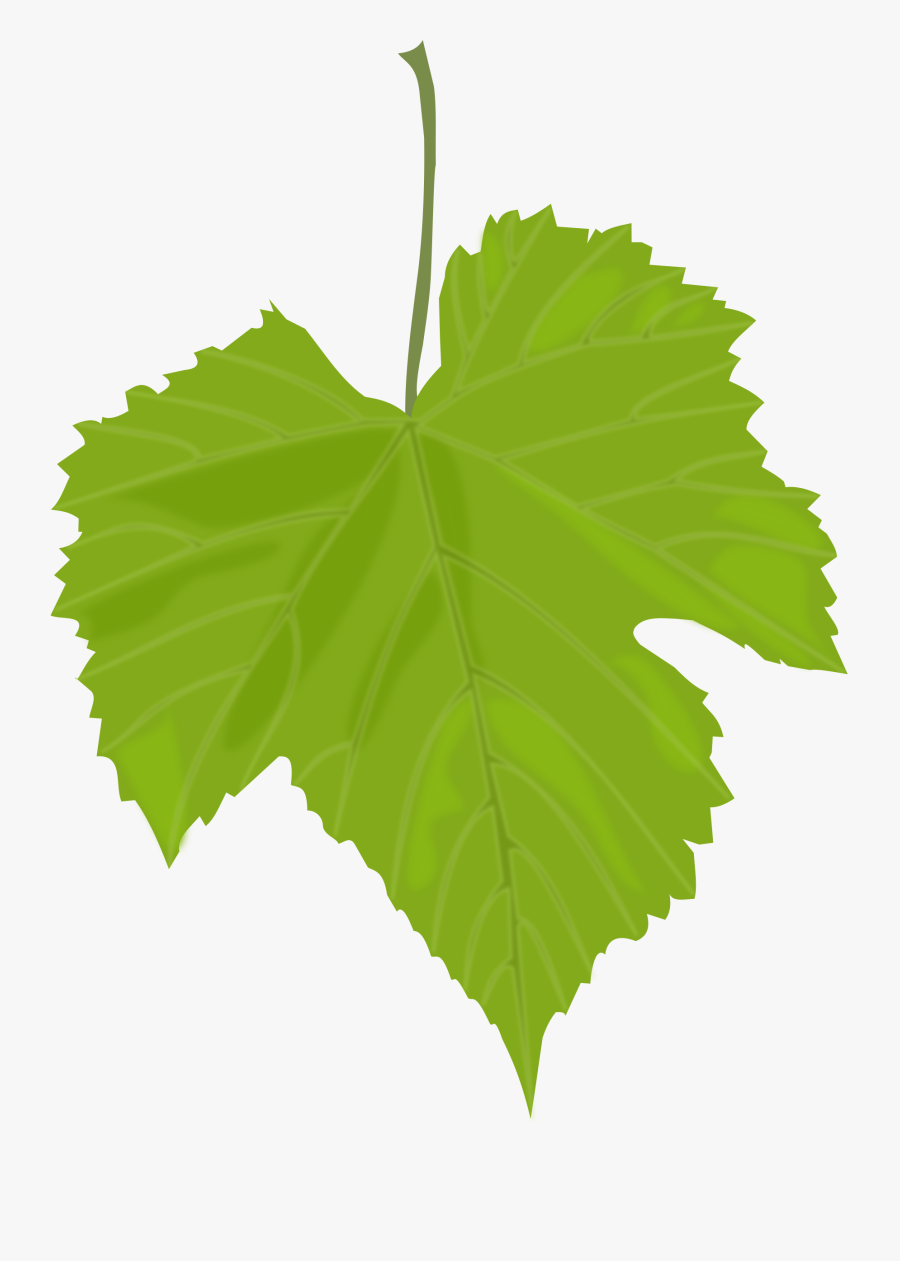 Clipart - Grapes Leaf, Transparent Clipart