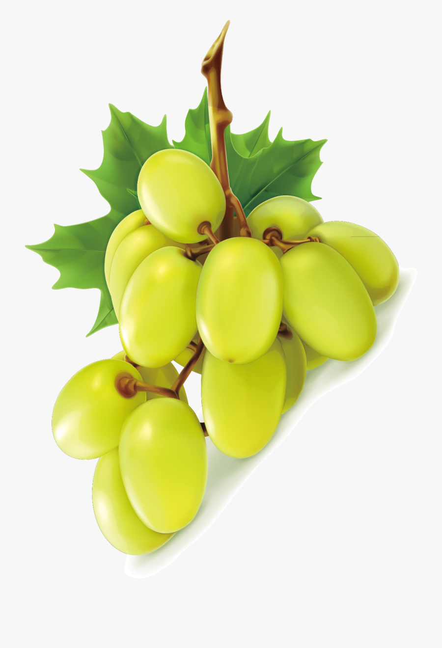 Pin By Pngsector On - Green Grape Png, Transparent Clipart
