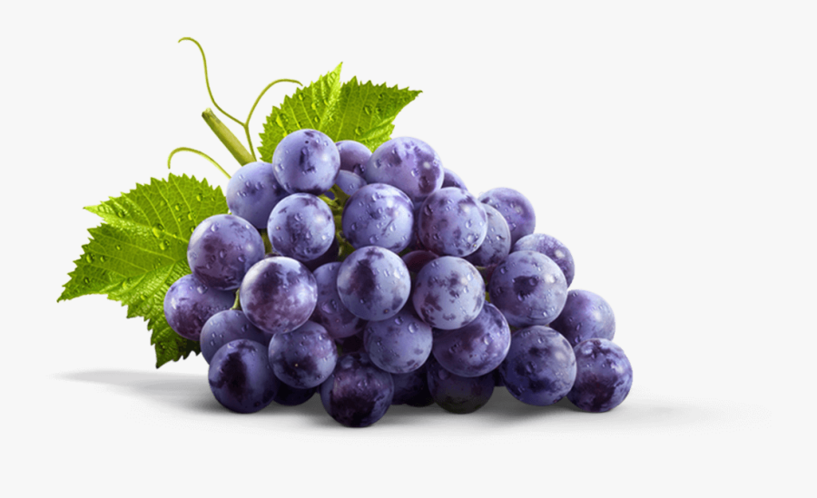 Our Story - Concord Grape Png, Transparent Clipart