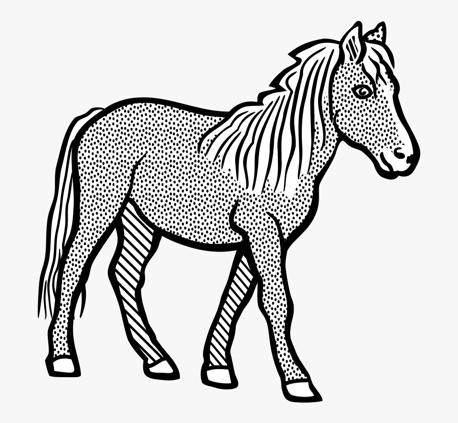Horse Ausmalbild Coloring Book Unicorn Microsoft Word - Clip Art Of Horse, Transparent Clipart