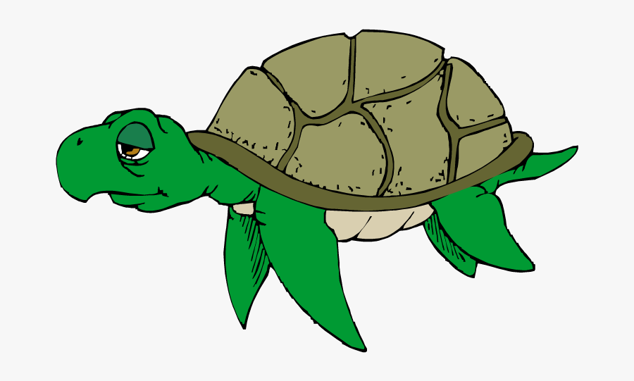 Hawaiian Sea Turtle Clipart Free Images 2 - Sad Sea Turtle Clipart, Transparent Clipart