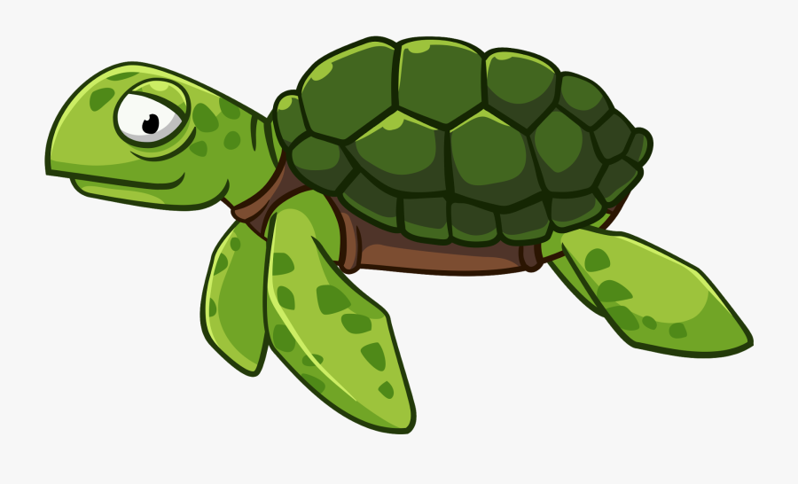 Clipart Turtle Png, Transparent Clipart