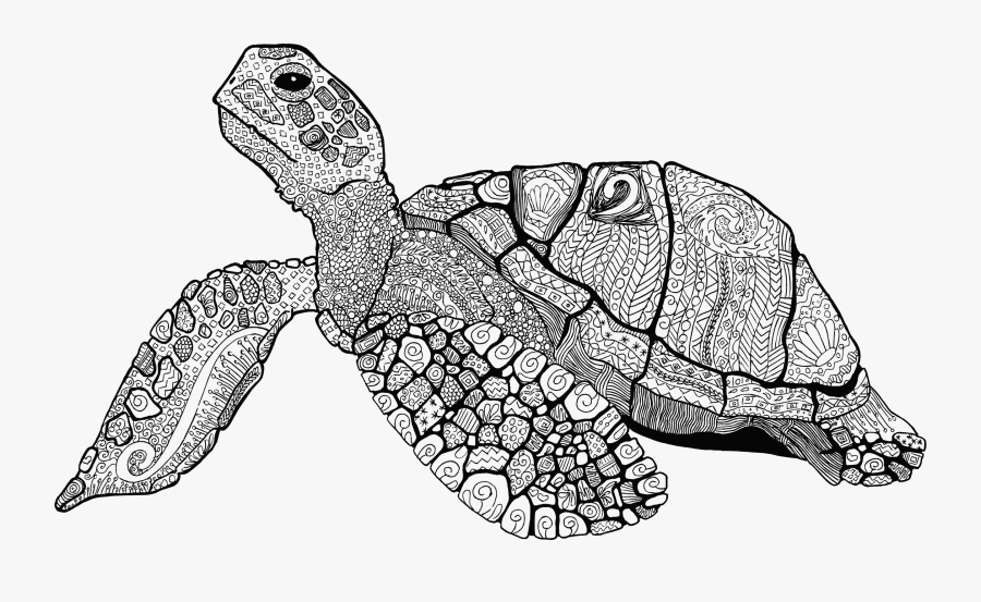 Floral Line Art Big - Zentangle Turtle Coloring Pages, Transparent Clipart