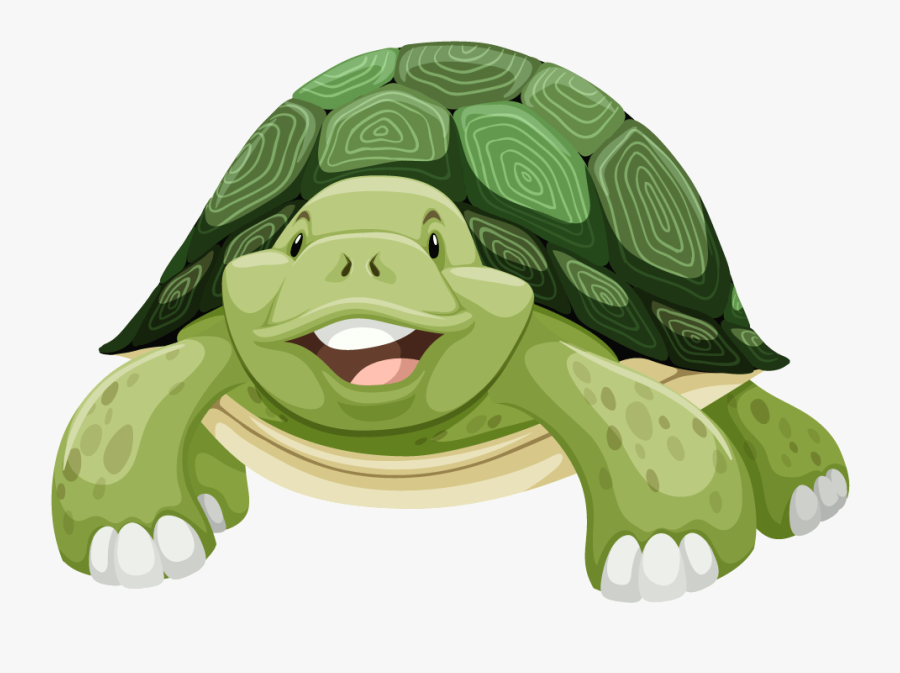 Transparent Turtle Cartoon Png - Las Partes De Una Tortuga, Transparent Clipart