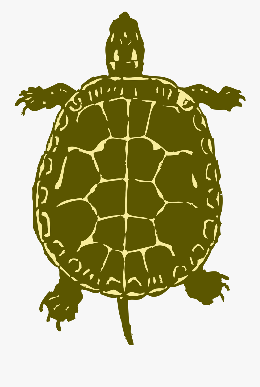 Sea Turtle Clipart Snapping Turtle - Birds Eye View Of A Turtle, Transparent Clipart