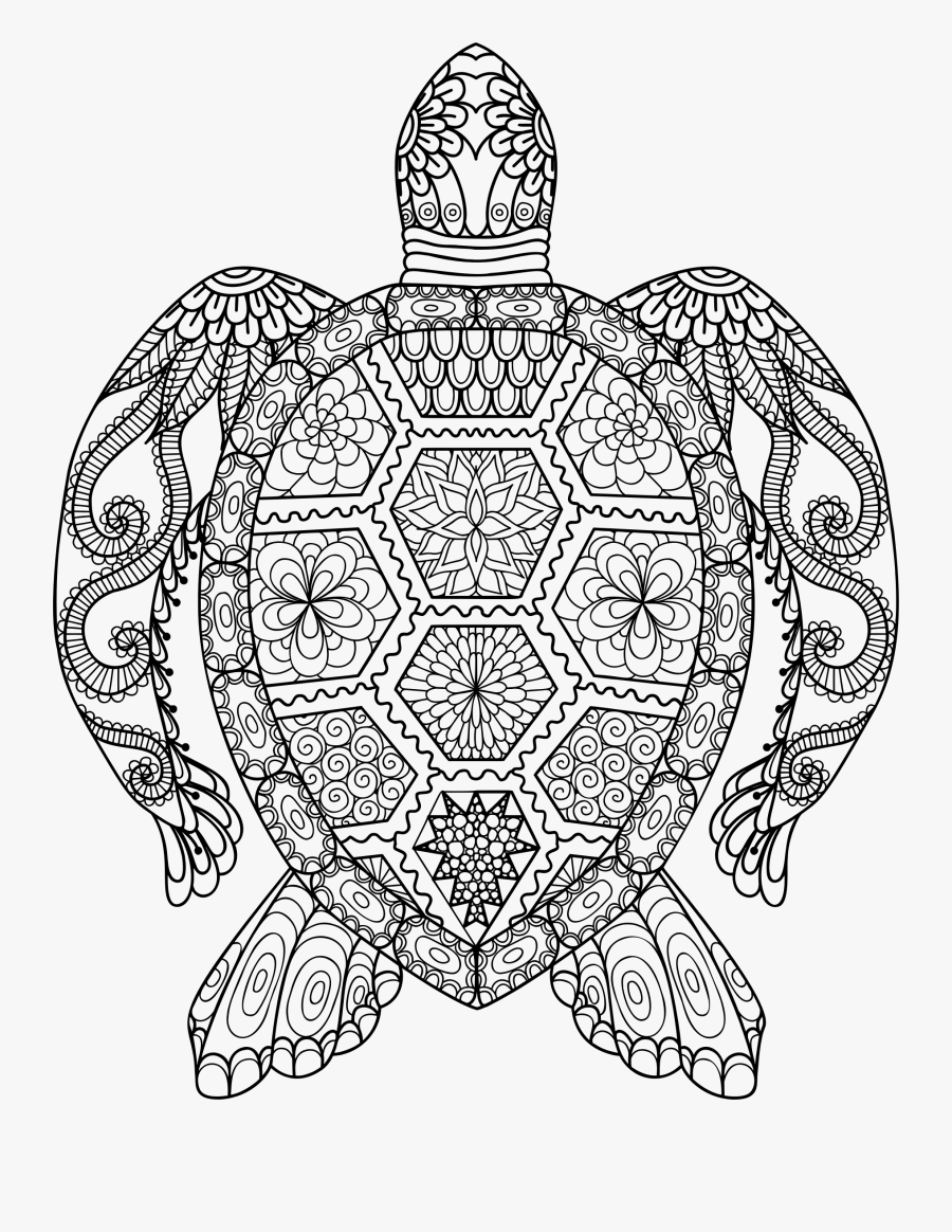 Drawn Sea Turtle Symmetrical - Adult Coloring Pages Turtle, Transparent Clipart