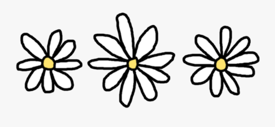 Daisy Flower Drawing Pictures And Cliparts, Download - Daisy Drawing