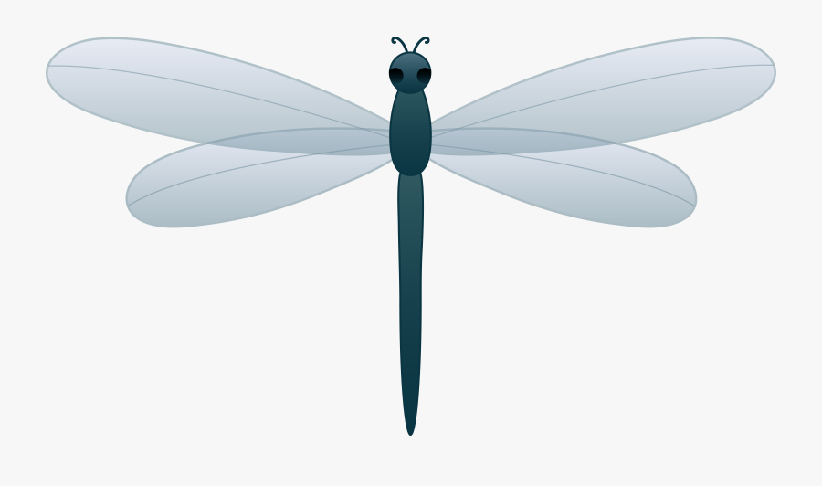 Dragonfly Clipart Free Download Clipart Free Clipart - Cartoon Clip Art Dragonfly, Transparent Clipart