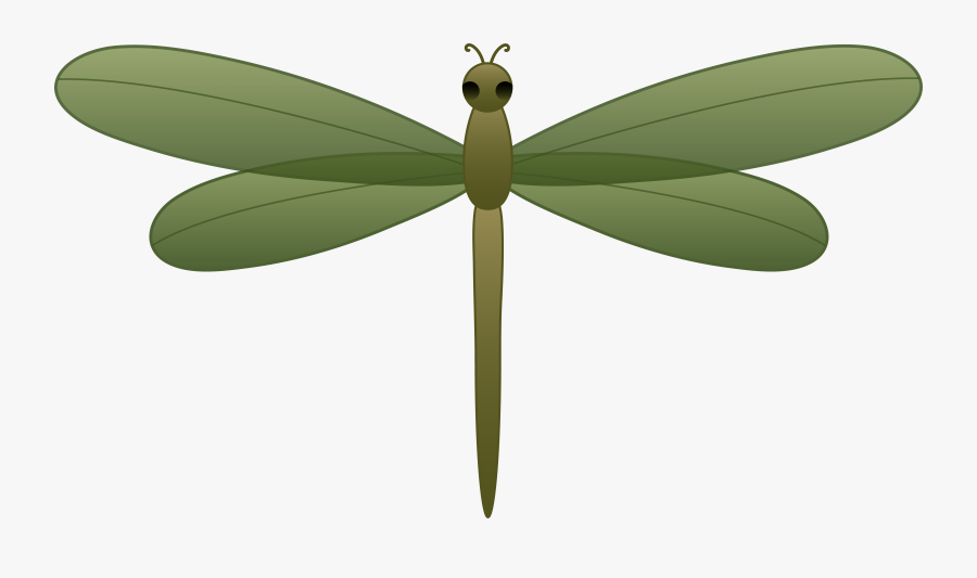 Cartoon Dragonfly Pictures - Realistic Dragonfly Free Clipart, Transparent Clipart