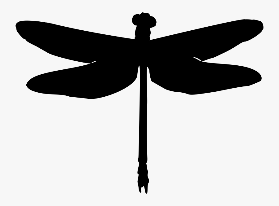 Clip Art Clipart Medium Image Png - Dragon Fly Silhouette, Transparent Clipart