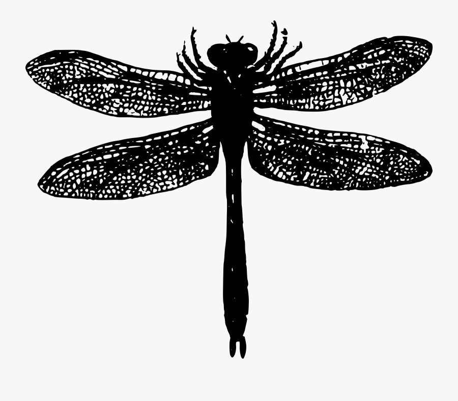 Basic Big Image Png - Dragonfly Silhouette Png, Transparent Clipart