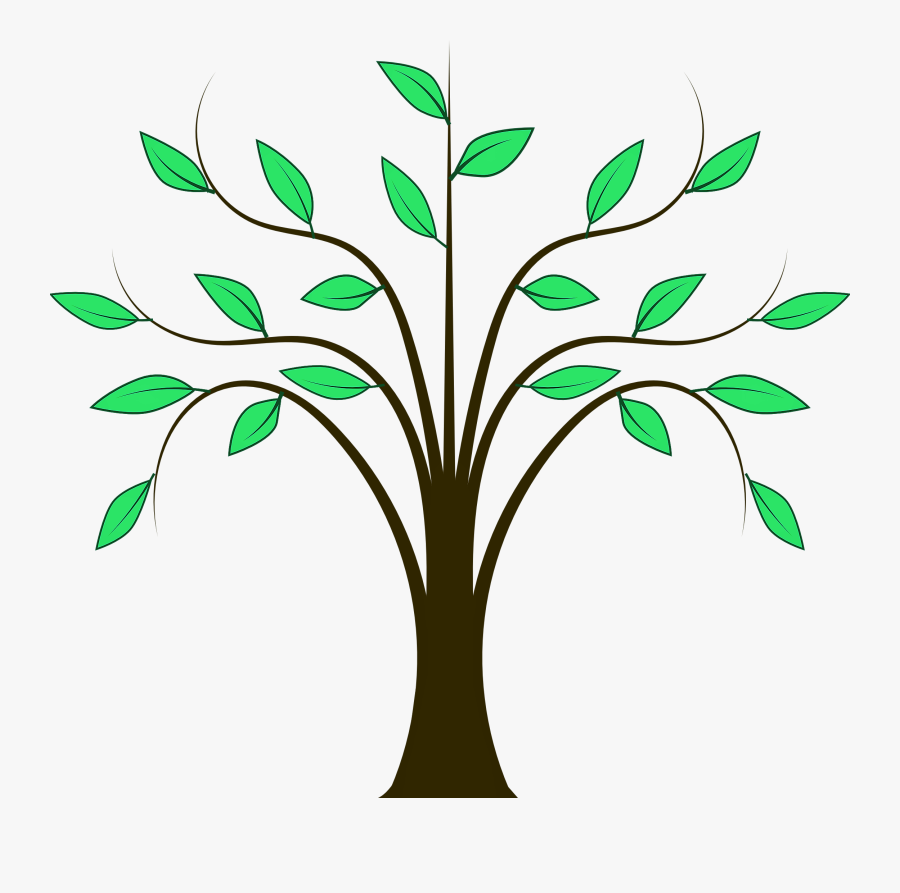 Tree Drawing With Leaves, Transparent Clipart