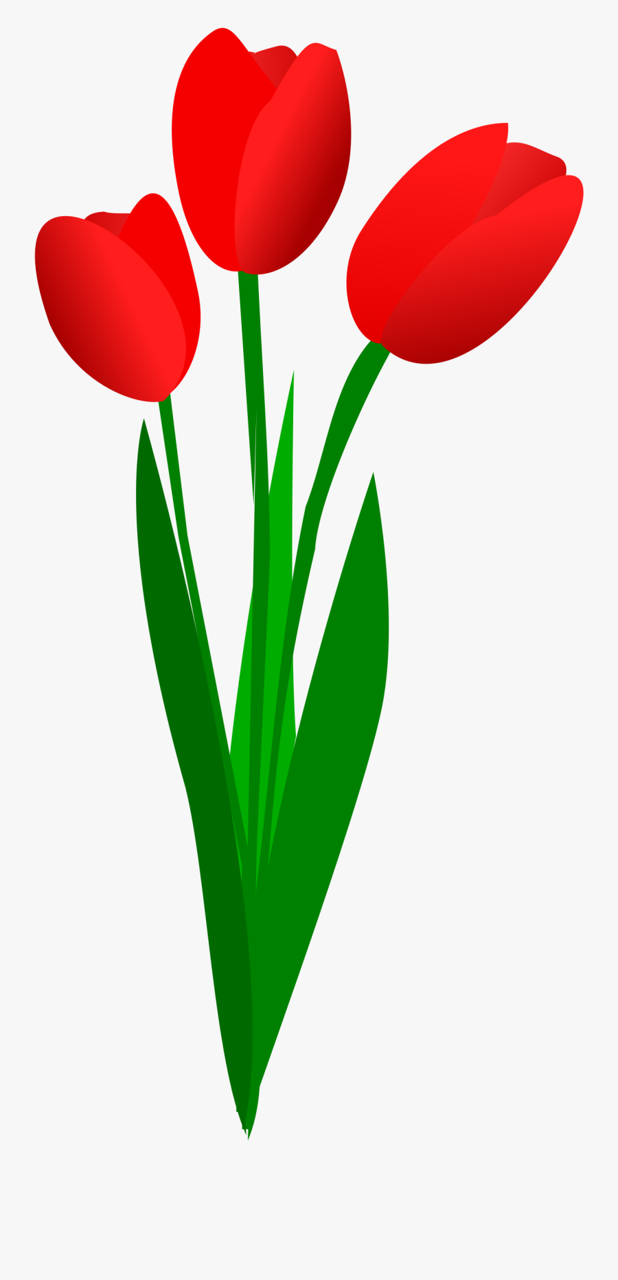 Tulip Spring Break 2016 Clipart - Tulip Flowers Clip Art, Transparent Clipart