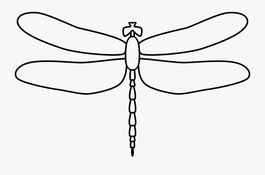 Download Clip Art Transparent Collection Of Free Dragonfly Svg - Black And White Dragonfly Outline Png ...