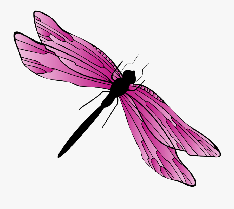 Clip Art Dragonfly Food Rhino - Dragonfly Gif Png, Transparent Clipart