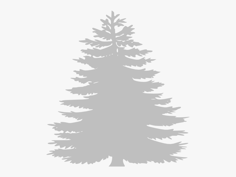 White Pine Tree Clip Art, Transparent Clipart